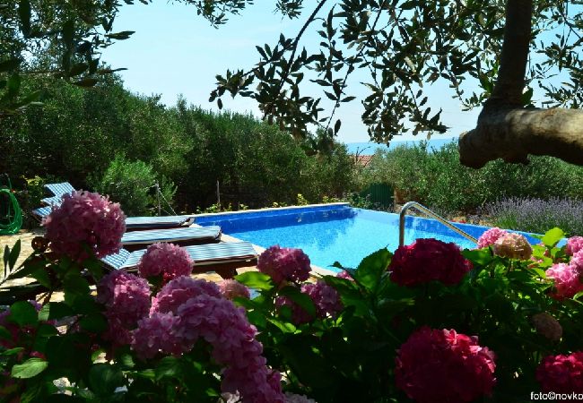 Maison à Bol - Maison de vacances in Bol avec vue mer, terrasse, Climatisation, WIFI (120-1) Maison à Bol - Maison de vacances in Bol avec vue mer, terrasse, Climatisation, WIFI (120-1)