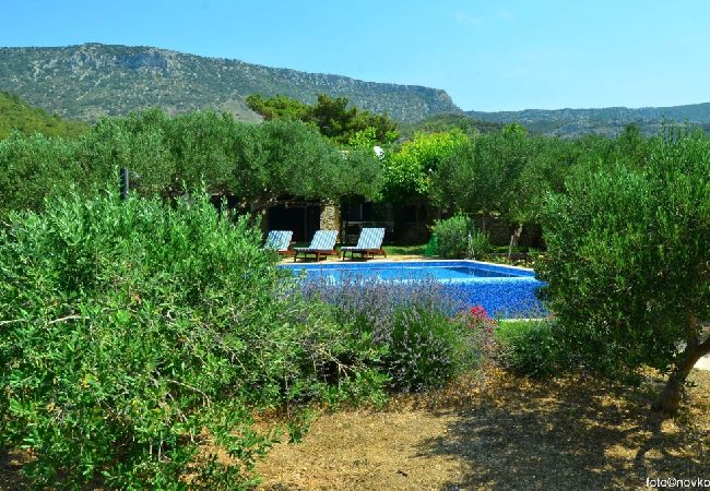 Maison à Bol - Maison de vacances in Bol avec vue mer, terrasse, Climatisation, WIFI (120-1) Maison à Bol - Maison de vacances in Bol avec vue mer, terrasse, Climatisation, WIFI (120-1)