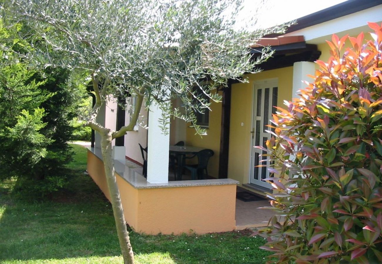 Maison à Porec - Maison de vacances dans Poreč avec terrasse, Climatisation, WIFI, Lave-vaisselle (4400-6)