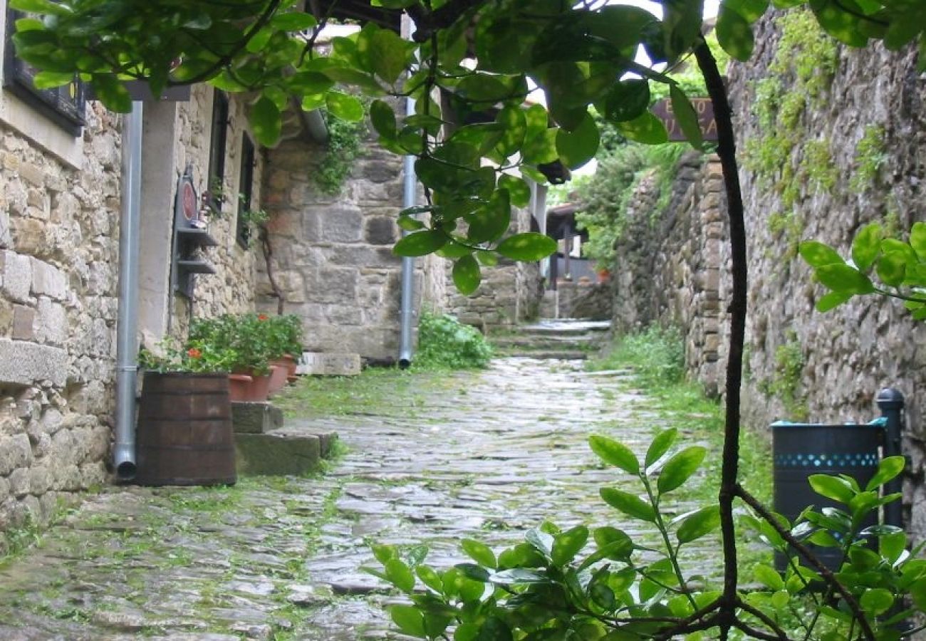 Maison à Porec - Maison de vacances dans Poreč avec terrasse, Climatisation, WIFI, Lave-vaisselle (4400-6)