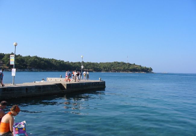 Maison à Porec - Maison de vacances dans Poreč avec terrasse, Climatisation, WIFI, Lave-vaisselle (4400-2) Maison à Porec - Maison de vacances dans Poreč avec terrasse, Climatisation, WIFI, Lave-vaisselle (4400-2)