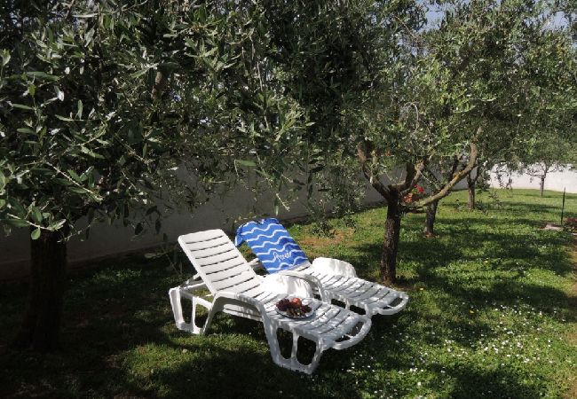 Maison à Porec - Maison de vacances dans Poreč avec terrasse, Climatisation, WIFI, Lave-vaisselle (4400-4) Maison à Porec - Maison de vacances dans Poreč avec terrasse, Climatisation, WIFI, Lave-vaisselle (4400-4)