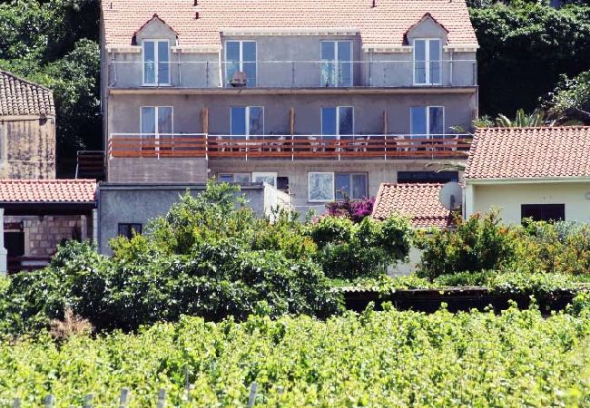 Appartement à Lumbarda - Appartement dans Lumbarda avec vue mer, Balcon, Climatisation, WIFI (4432-3) Appartement à Lumbarda - Appartement dans Lumbarda avec vue mer, Balcon, Climatisation, WIFI (4432-3)