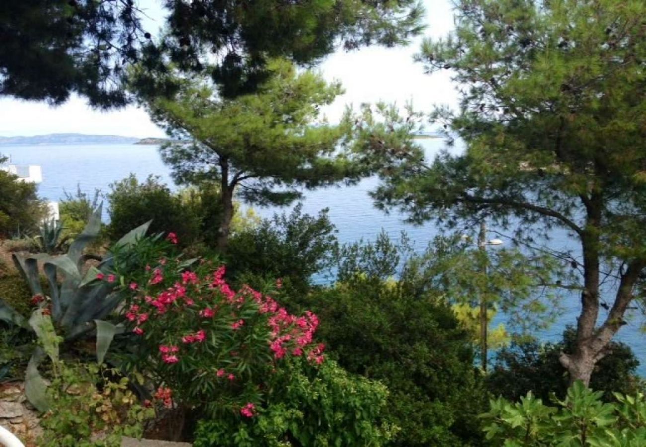 Maison à Sali - Maison de vacances dans Sali avec vue mer, terrasse (4420-1)