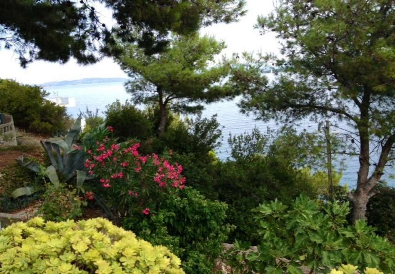 Maison à Sali - Maison de vacances dans Sali avec vue mer, terrasse (4420-1)