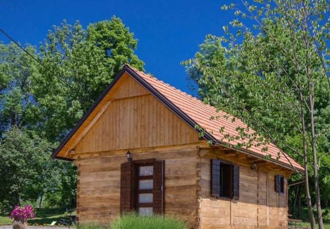 Maison à Rakovica - Maison de vacances dans Rakovica avec terrasse, WIFI, Machine à laver (4488-2)