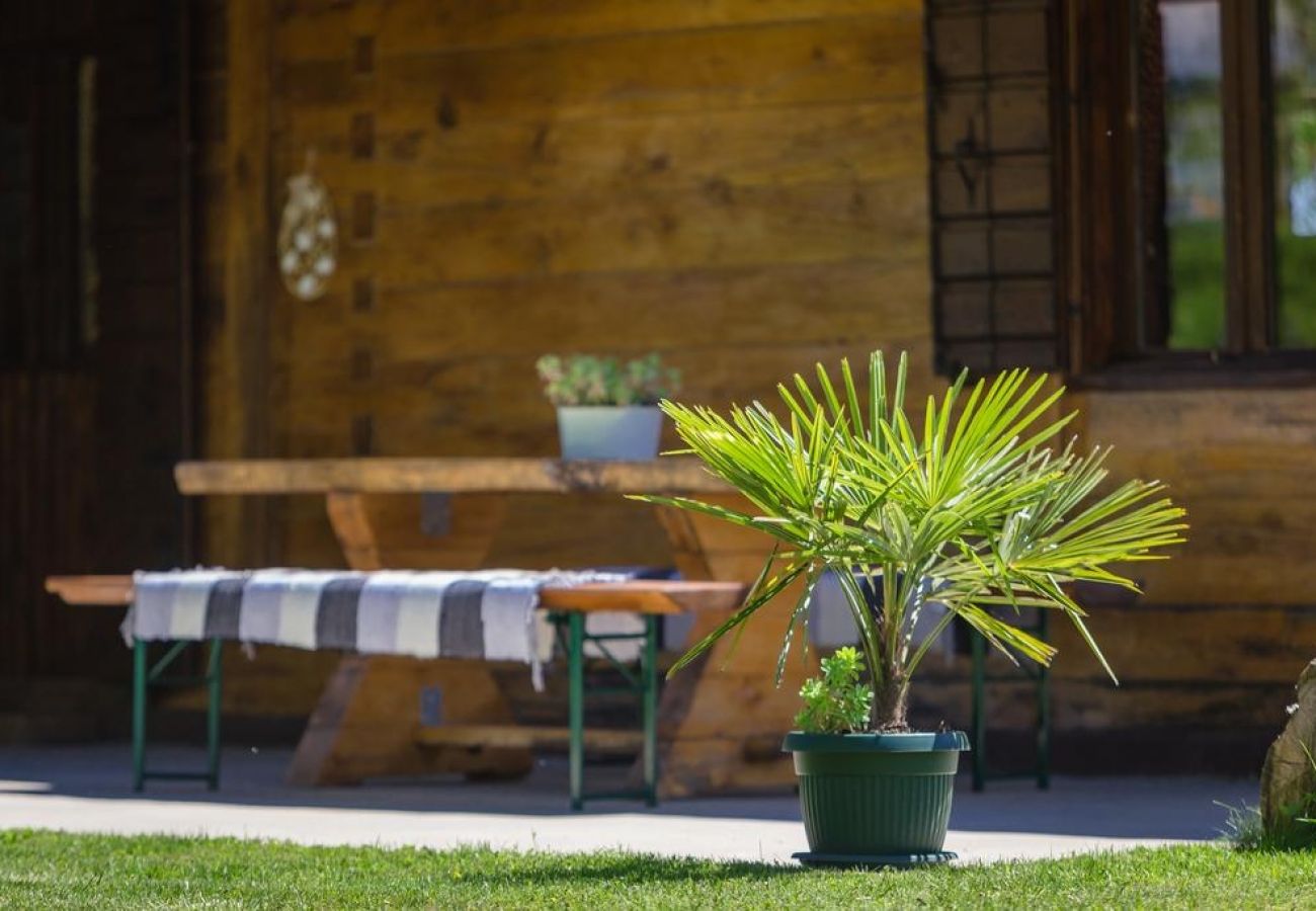 Maison à Rakovica - Maison de vacances dans Rakovica avec terrasse, WIFI, Machine à laver (4488-2)