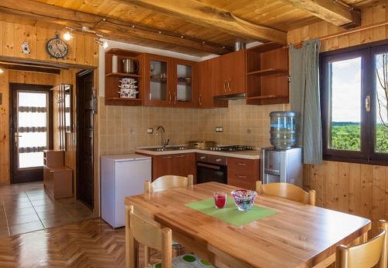 Maison à Rakovica - Maison de vacances dans Rakovica avec terrasse, WIFI, Machine à laver (4488-2)