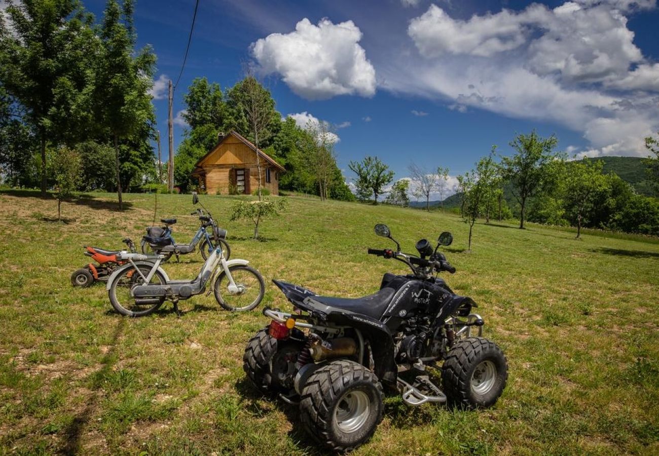 Maison à Rakovica - Maison de vacances dans Rakovica avec terrasse, WIFI, Machine à laver (4488-2)