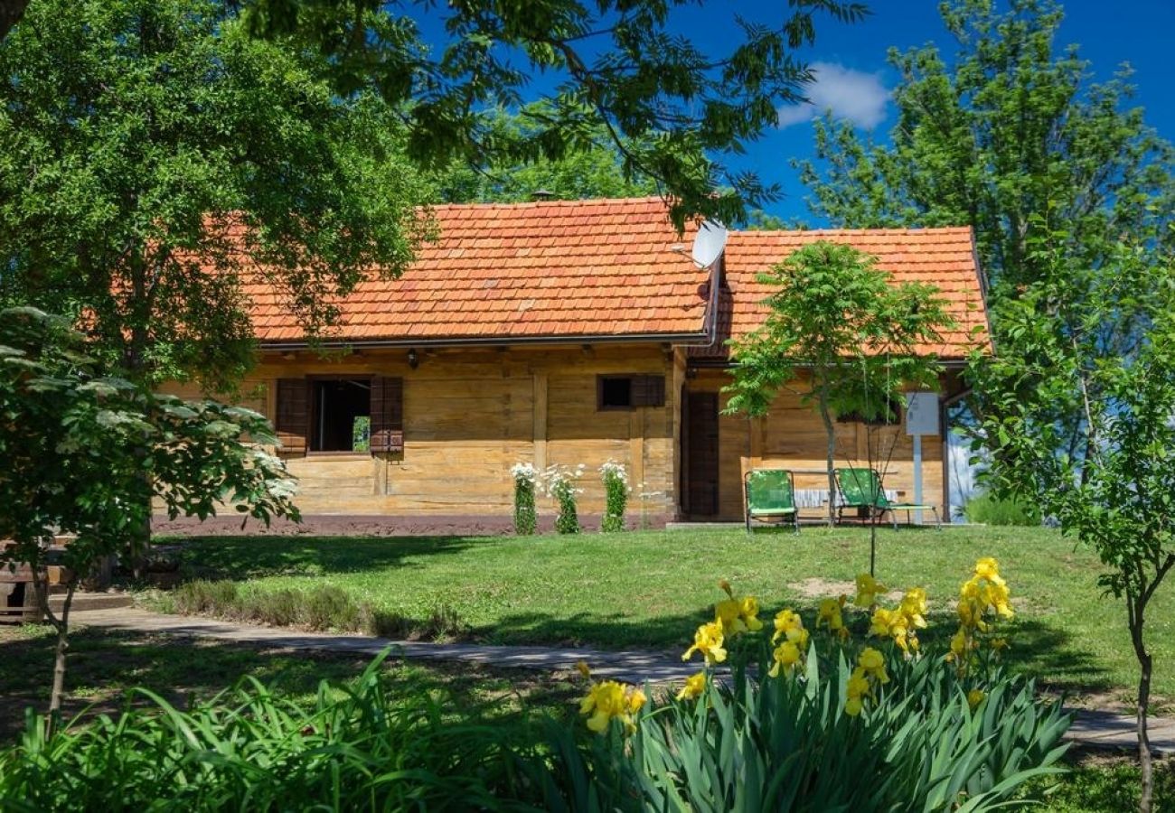 Maison à Rakovica - Maison de vacances dans Rakovica avec terrasse, WIFI, Machine à laver (4488-1)