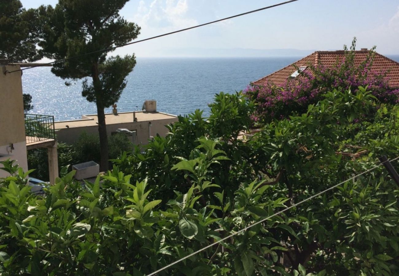 Appartement à Podgora - Appartement dans Podgora avec vue mer, terrasse, Climatisation, WIFI (4492-3)