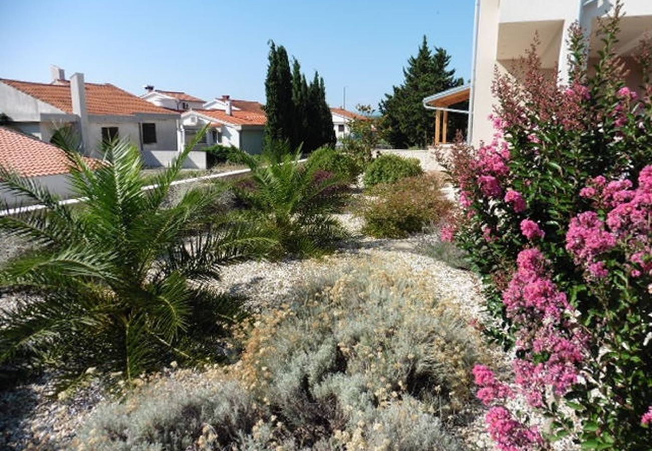 Appartement à Punat - Appartement dans Punat avec loggia, Climatisation, WIFI, Machine à laver (4534-1)