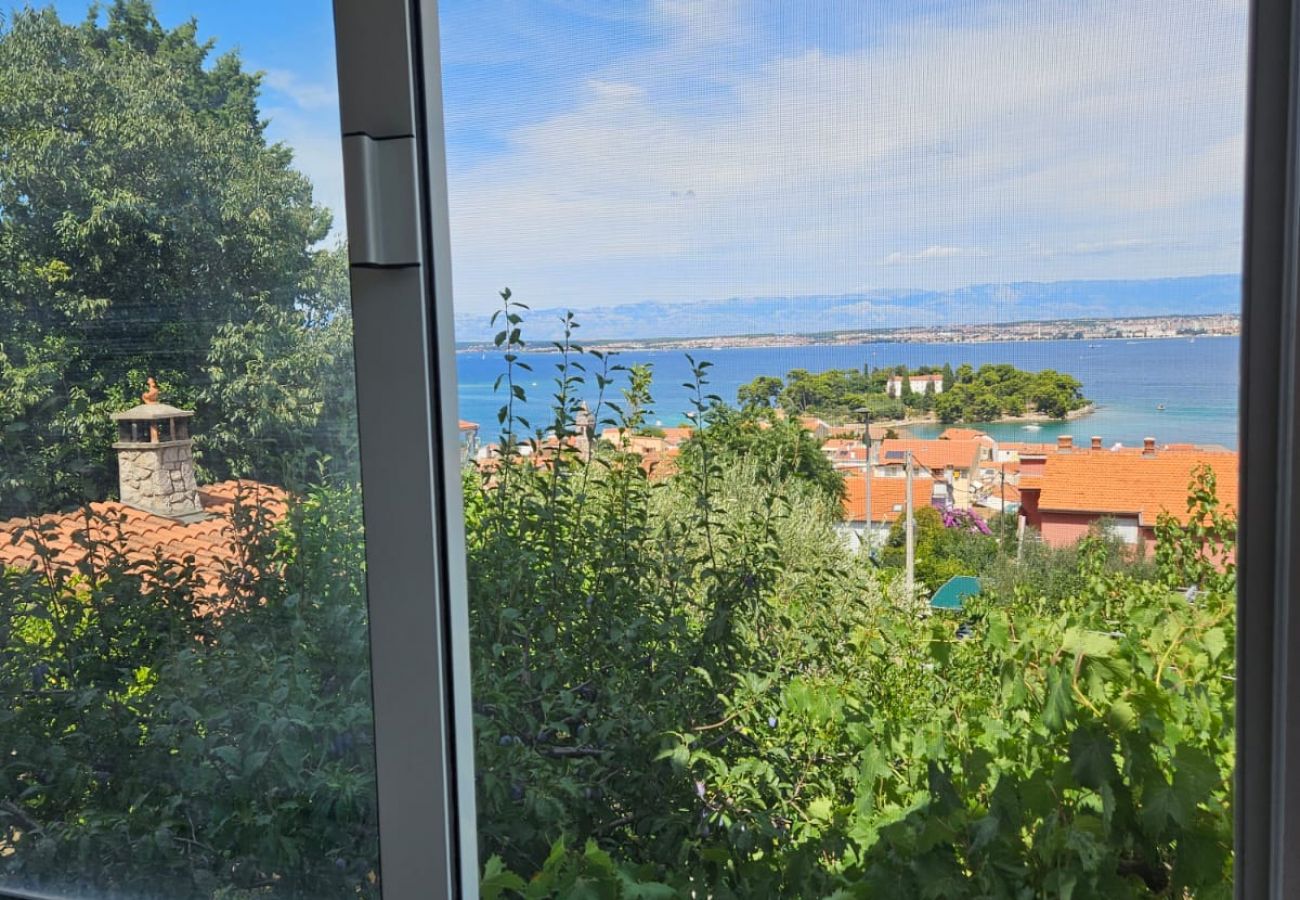 Appartement à Preko - Appartement dans Preko avec vue mer, terrasse, Climatisation, WIFI (4574-1)