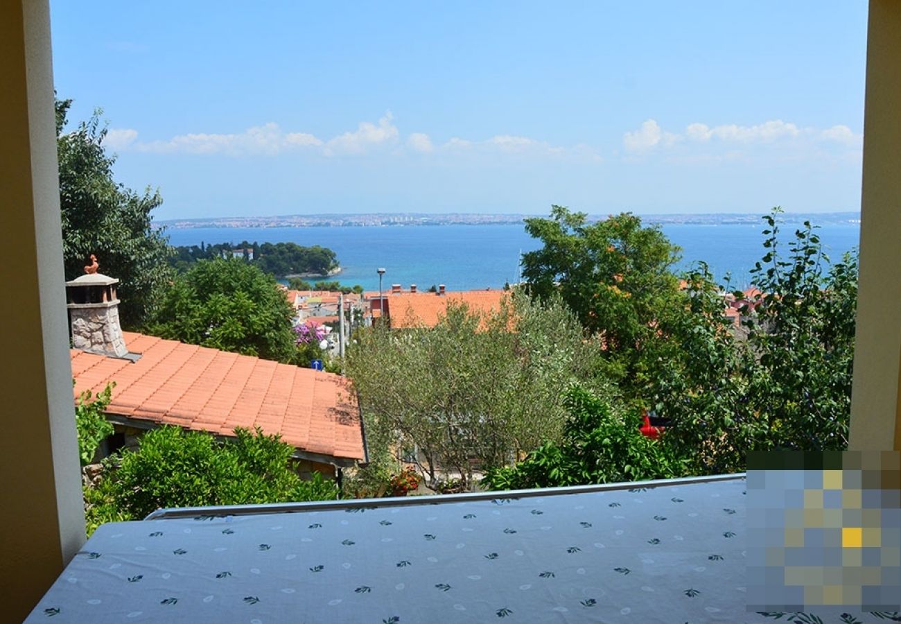 Appartement à Preko - Appartement dans Preko avec vue mer, terrasse, Climatisation, WIFI (4574-1)