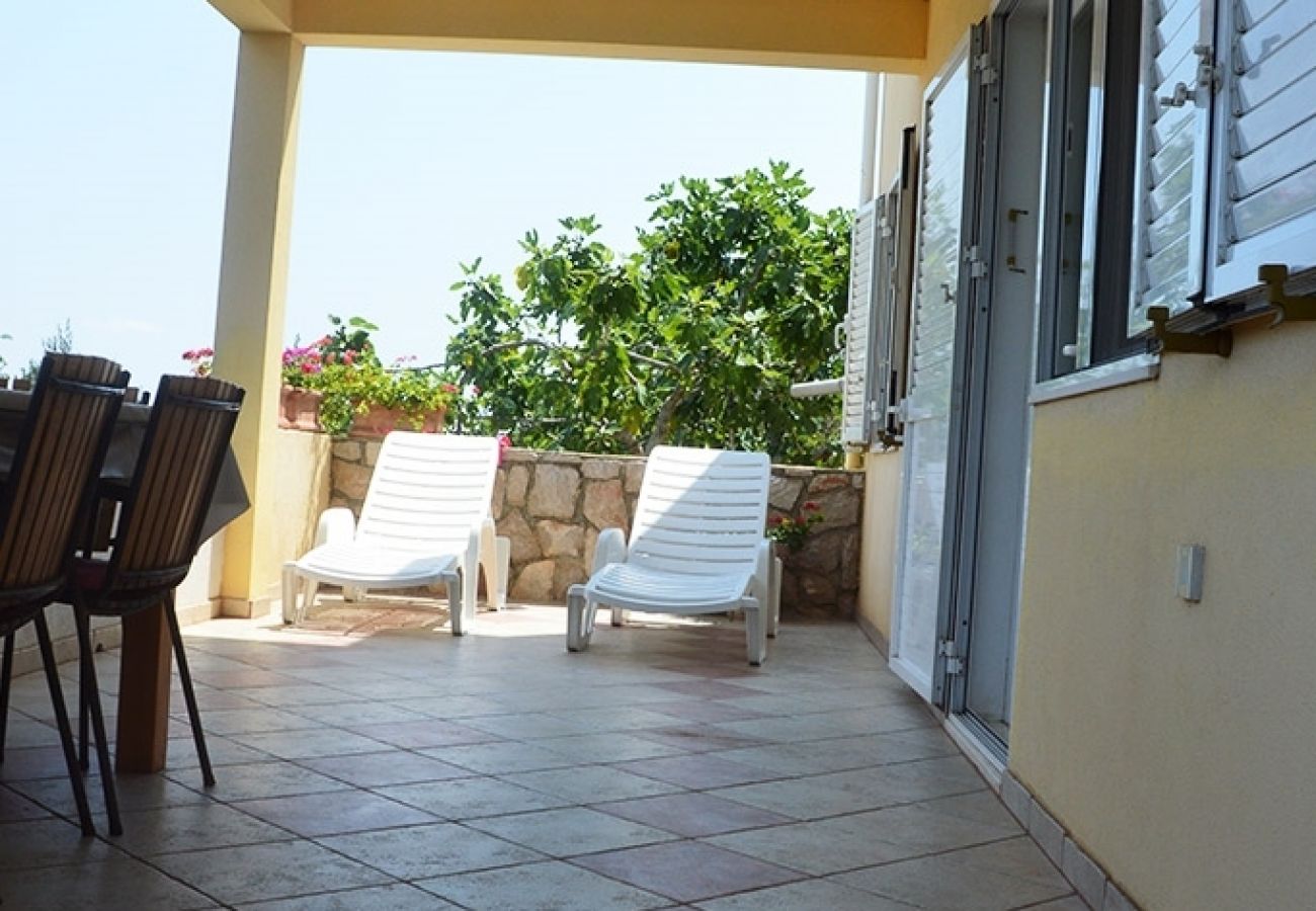 Appartement à Preko - Appartement dans Preko avec vue mer, terrasse, Climatisation, WIFI (4574-1)