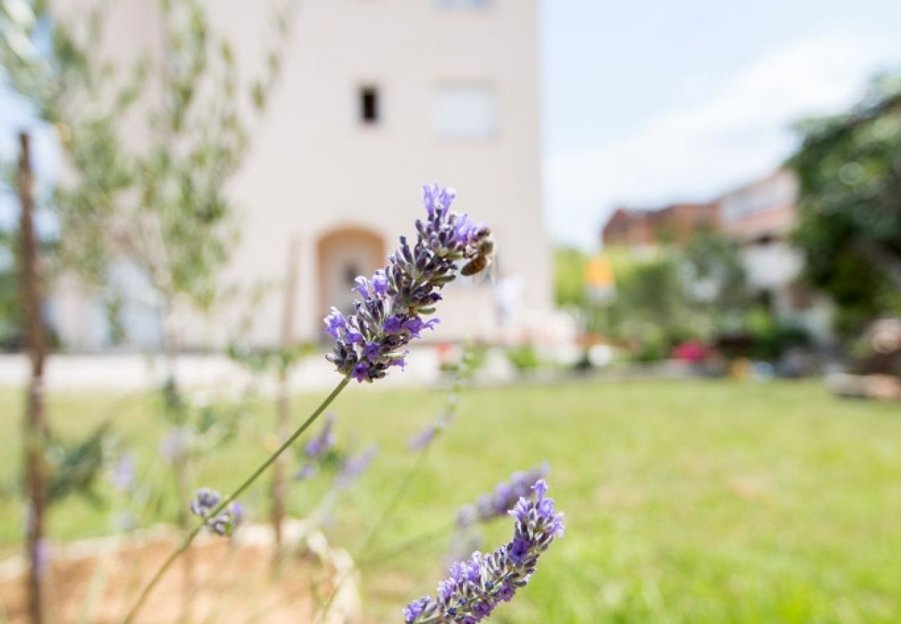 Appartement à Lopar - Appartement dans Lopar avec terrasse, Climatisation, WIFI, Machine à laver (4619-1)