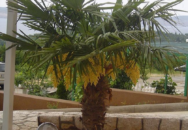 Appartement à Dramalj - Appartement dans Dramalj avec vue mer, Balcon, Climatisation, WIFI (4623-11) Appartement à Dramalj - Appartement dans Dramalj avec vue mer, Balcon, Climatisation, WIFI (4623-11)