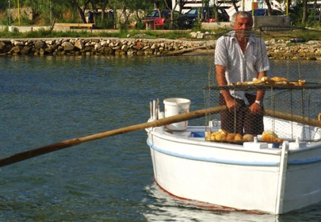 Studio à Pašman - Appartement Studio dans Pašman avec vue mer, Balcon, Climatisation, WIFI (4650-1) Studio à Pašman - Appartement Studio dans Pašman avec vue mer, Balcon, Climatisation, WIFI (4650-1)