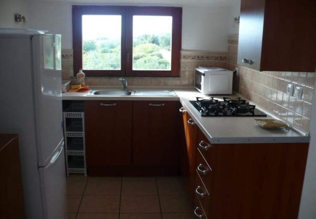 Appartement à Nevidane - Appartement dans Neviđane avec vue mer, terrasse, Climatisation, WIFI (4663-2)