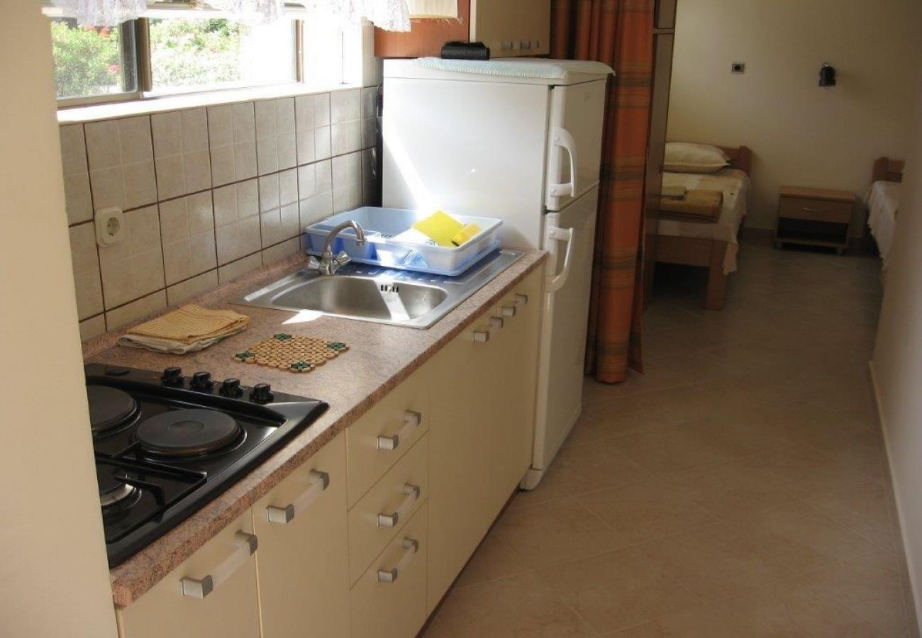 Appartement à Orebic - Appartement dans Orebić avec vue mer, terrasse, Climatisation, WIFI (4669-1)