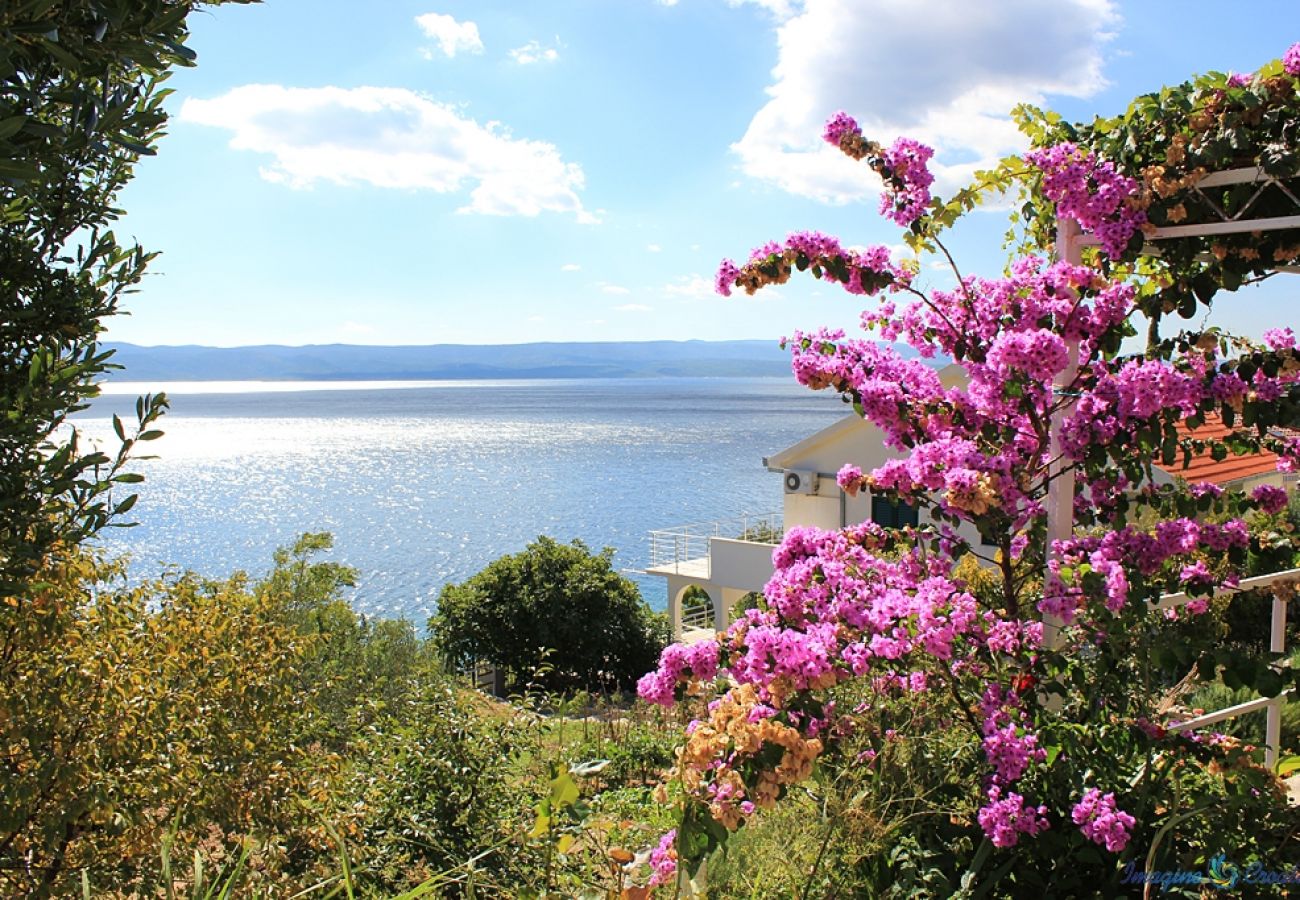 Appartement à Pisak - Appartement dans Pisak avec vue mer, terrasse, Climatisation, WIFI (4722-5)