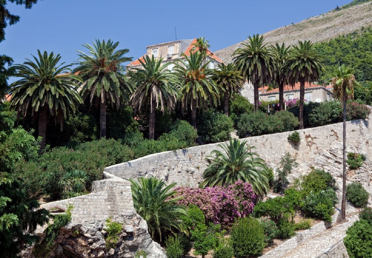 Chambres d'hôtes à Dubrovnik - Chambre dans Dubrovnik avec Climatisation, WIFI, Machine à laver (4246-3)