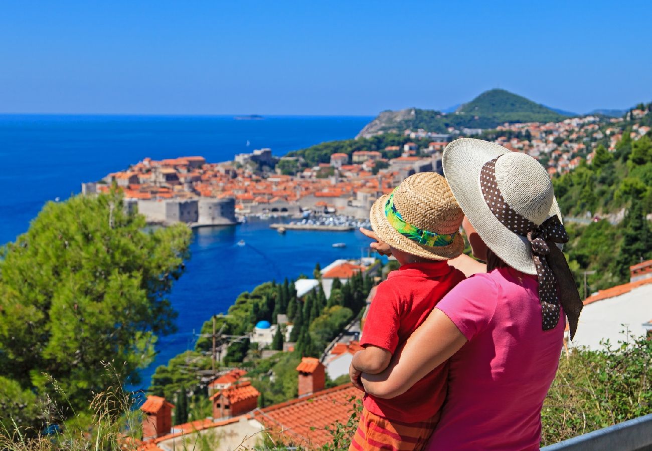 Chambres d'hôtes à Dubrovnik - Chambre dans Dubrovnik avec Climatisation, WIFI, Machine à laver (4246-3)