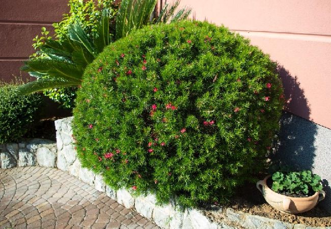 Appartement à Opatija - Appartement dans Opatija avec vue mer, Balcon, Climatisation, WIFI (4812-2) Appartement à Opatija - Appartement dans Opatija avec vue mer, Balcon, Climatisation, WIFI (4812-2)