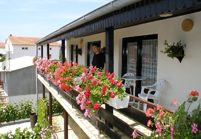 Chambres d'hôtes à Vodice - Chambre dans Vodice avec Balcon, Climatisation, WIFI (4826-4) Chambres d'hôtes à Vodice - Chambre dans Vodice avec Balcon, Climatisation, WIFI (4826-4)