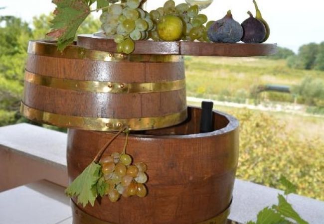 Appartement à Vrsi - Apartment in Vrsi with Balcony, Air condition, WIFI (4824-5) Appartement à Vrsi - Apartment in Vrsi with Balcony, Air condition, WIFI (4824-5)