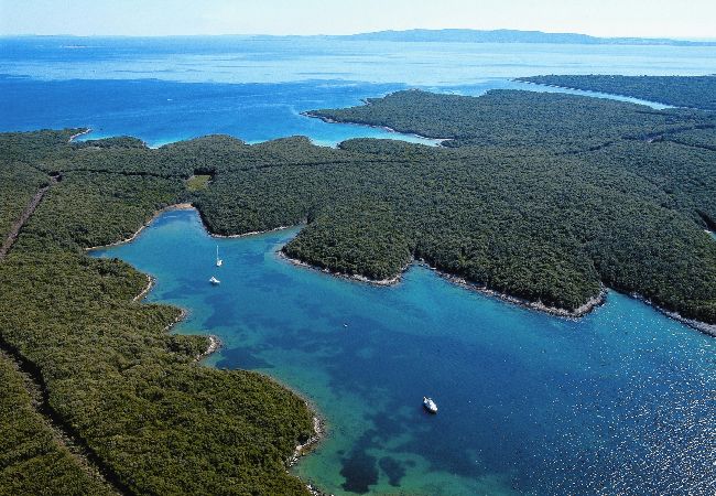 Appartement à Nerezine - Appartement dans Nerezine avec Climatisation, WIFI, Machine à laver, Lave-vaisselle (4827-2) Appartement à Nerezine - Appartement dans Nerezine avec Climatisation, WIFI, Machine à laver, Lave-vaisselle (4827-2)