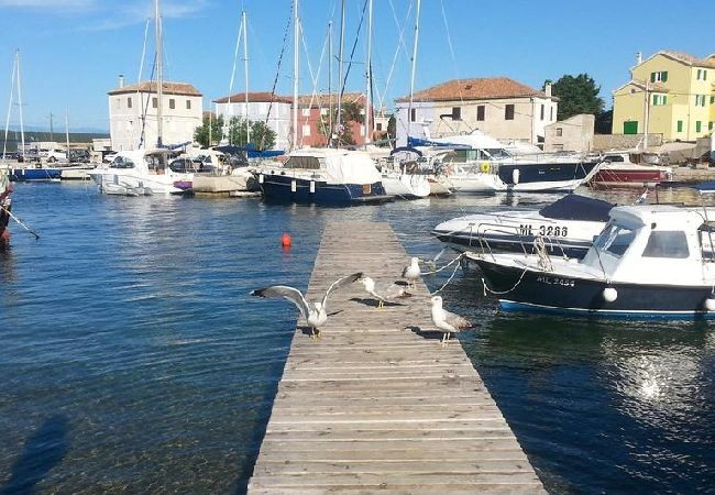 Chambres d'hôtes à Nerezine - Chambre dans Nerezine avec terrasse, WIFI (4827-5) Chambres d'hôtes à Nerezine - Chambre dans Nerezine avec terrasse, WIFI (4827-5)