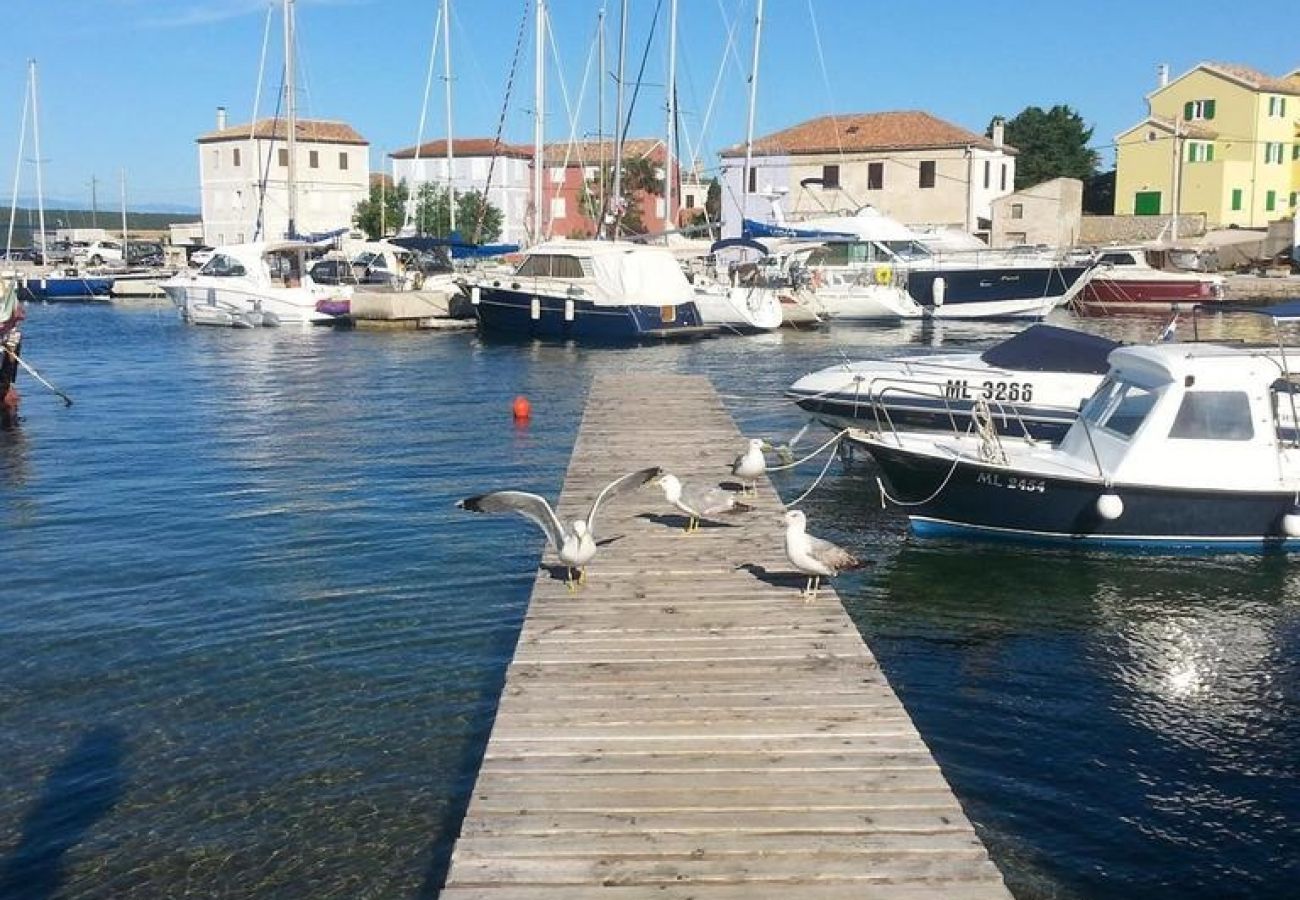 Chambres d'hôtes à Nerezine - Chambre dans Nerezine avec terrasse, WIFI (4827-5)