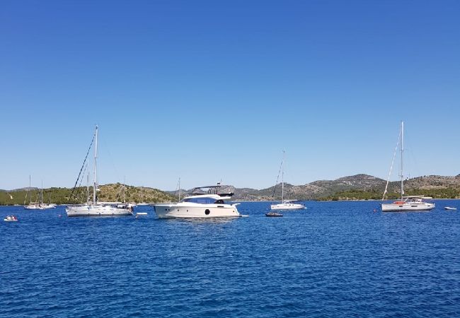 Appartement à Vrsi - Appartement dans Vrsi avec terrasse, Climatisation, WIFI, Machine à laver (4836-1) Appartement à Vrsi - Appartement dans Vrsi avec terrasse, Climatisation, WIFI, Machine à laver (4836-1)