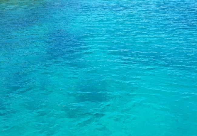 Appartement à Vrsi - Appartement dans Vrsi avec vue mer, terrasse, Climatisation, WIFI (4836-2) Appartement à Vrsi - Appartement dans Vrsi avec vue mer, terrasse, Climatisation, WIFI (4836-2)