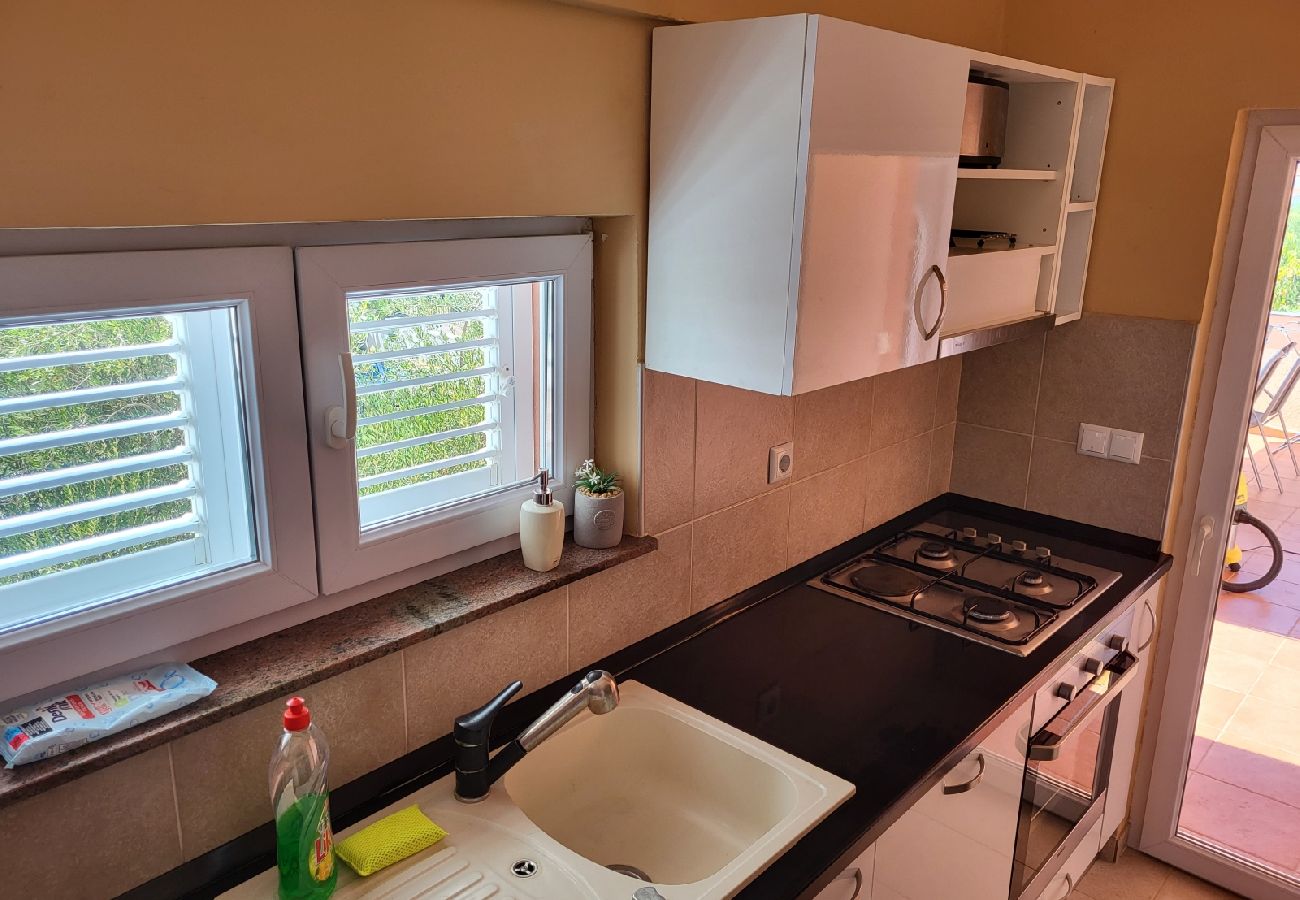 Appartement à Vrsi - Appartement dans Vrsi avec vue mer, terrasse, Climatisation, WIFI (4836-2)