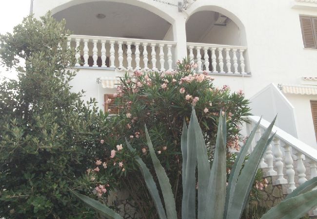 Appartement à Kustici - Appartement dans Kustici avec vue mer, terrasse, Climatisation, WIFI (4847-4) Appartement à Kustici - Appartement dans Kustici avec vue mer, terrasse, Climatisation, WIFI (4847-4)