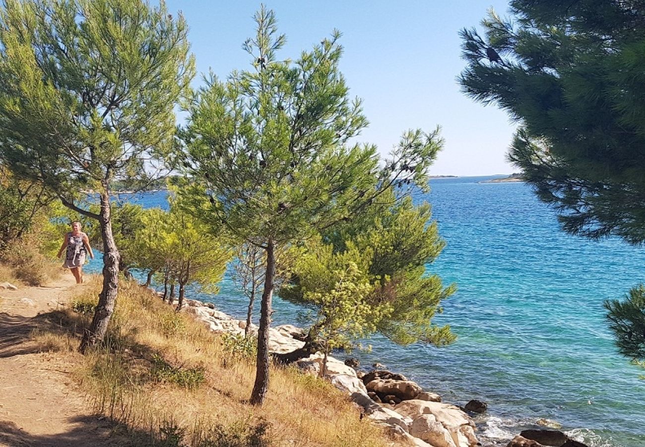 Studio à Pakoštane - Appartement Studio dans Pakoštane avec vue mer, terrasse, Climatisation, WIFI (4852-1)