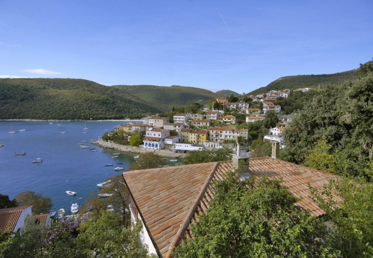 Maison à Nedešcina - Maison de vacances dans Nedešćina avec terrasse, Climatisation, WIFI, Machine à laver (4816-1)