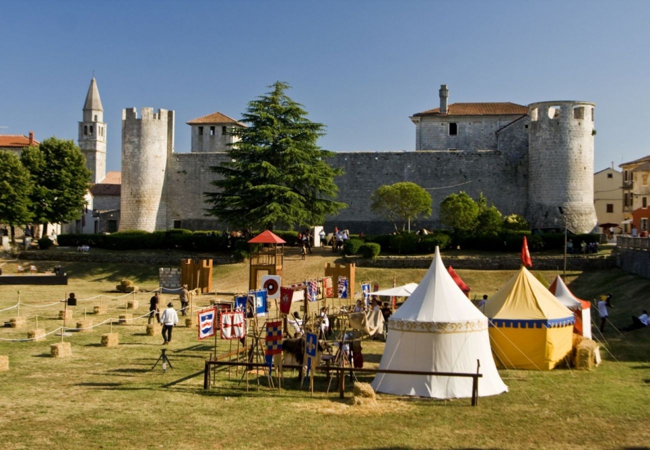 Maison à Svetvincenat - Maison de vacances dans Svetvinčenat avec terrasse, Climatisation, WIFI, Machine à laver (4843-1)