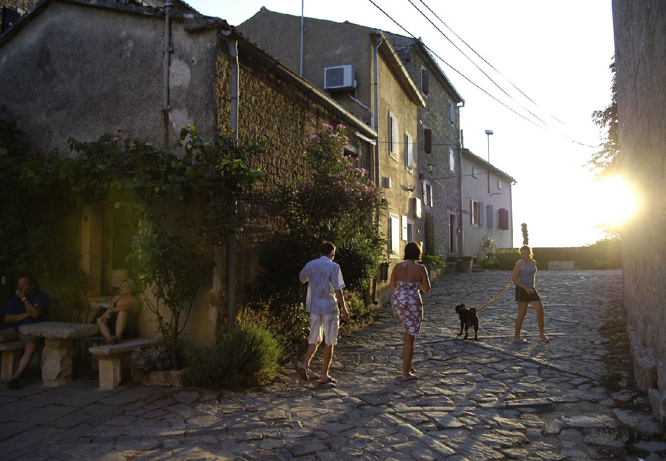 Maison à Svetvincenat - Maison de vacances dans Svetvinčenat avec terrasse, Climatisation, WIFI, Machine à laver (4843-1)