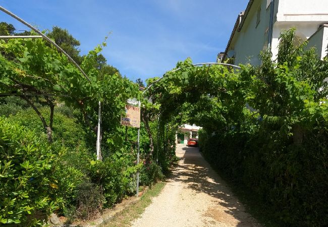 Appartement à Supetarska Draga - Appartement dans Supetarska Draga avec vue mer, Balcon, Climatisation, WIFI (4861-1) Appartement à Supetarska Draga - Appartement dans Supetarska Draga avec vue mer, Balcon, Climatisation, WIFI (4861-1)