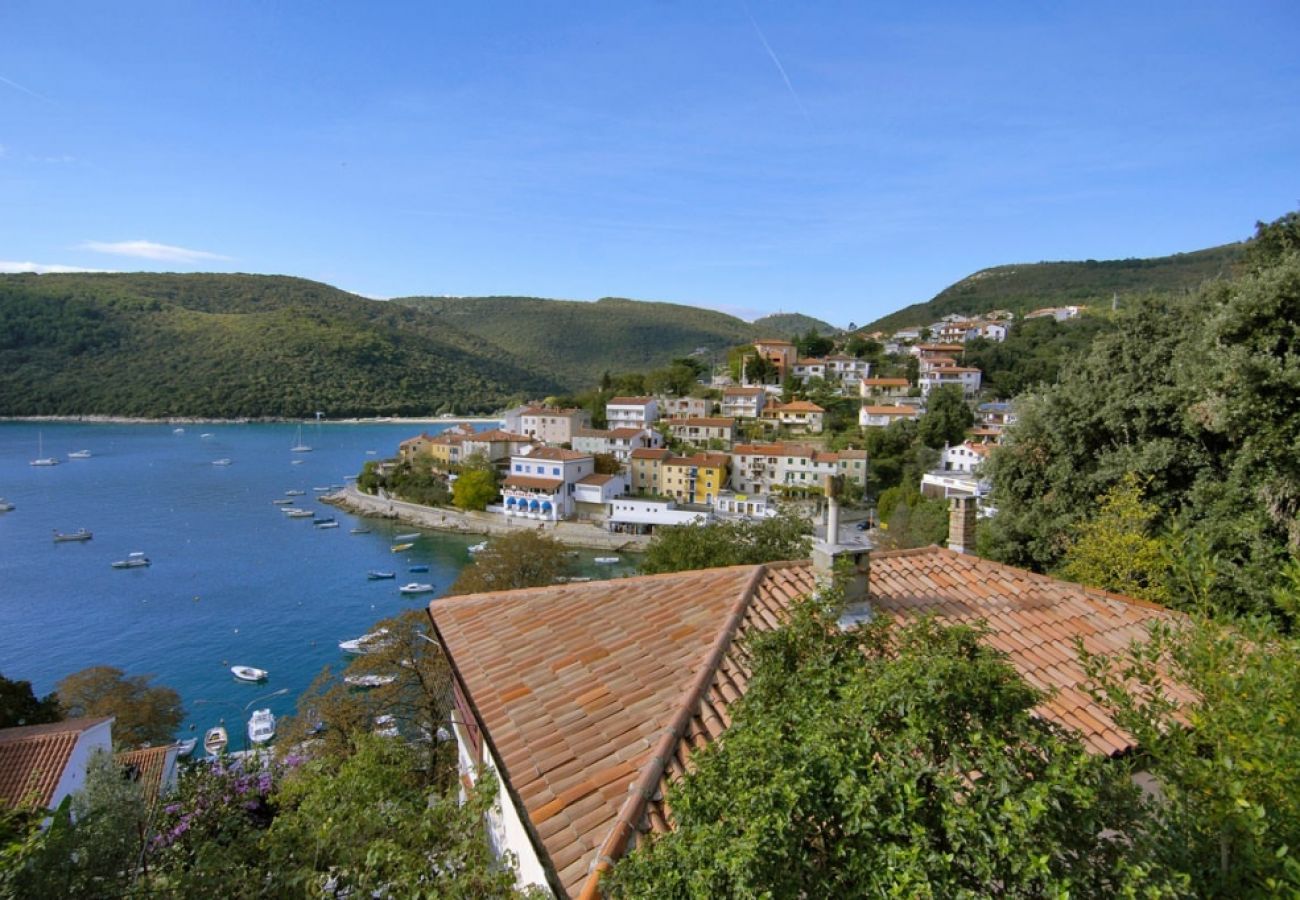 Maison à Labin - Maison de vacances dans Labin avec terrasse, Climatisation, WIFI, Machine à laver (4866-1)