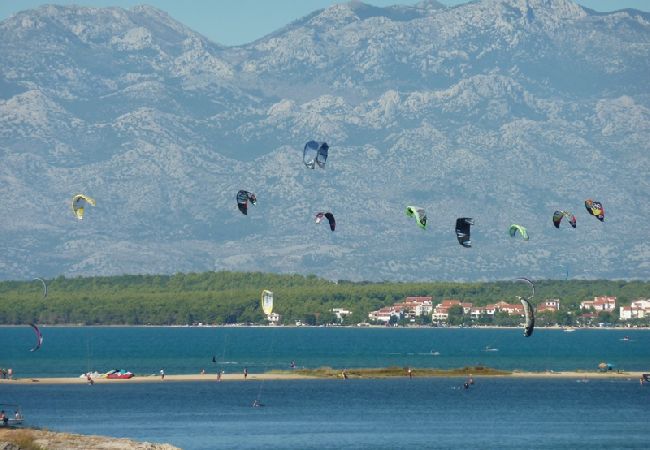 Appartement à Nin - Appartement dans Nin avec loggia, Climatisation, WIFI (4869-5) Appartement à Nin - Appartement dans Nin avec loggia, Climatisation, WIFI (4869-5)