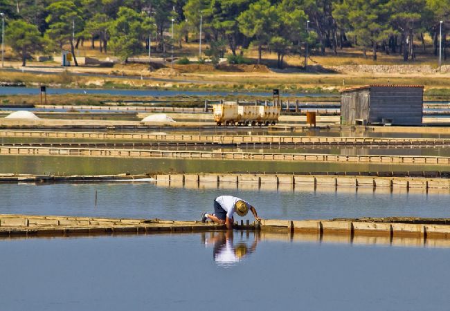 Appartement à Nin - Appartement dans Nin avec loggia, Climatisation, WIFI (4869-5) Appartement à Nin - Appartement dans Nin avec loggia, Climatisation, WIFI (4869-5)