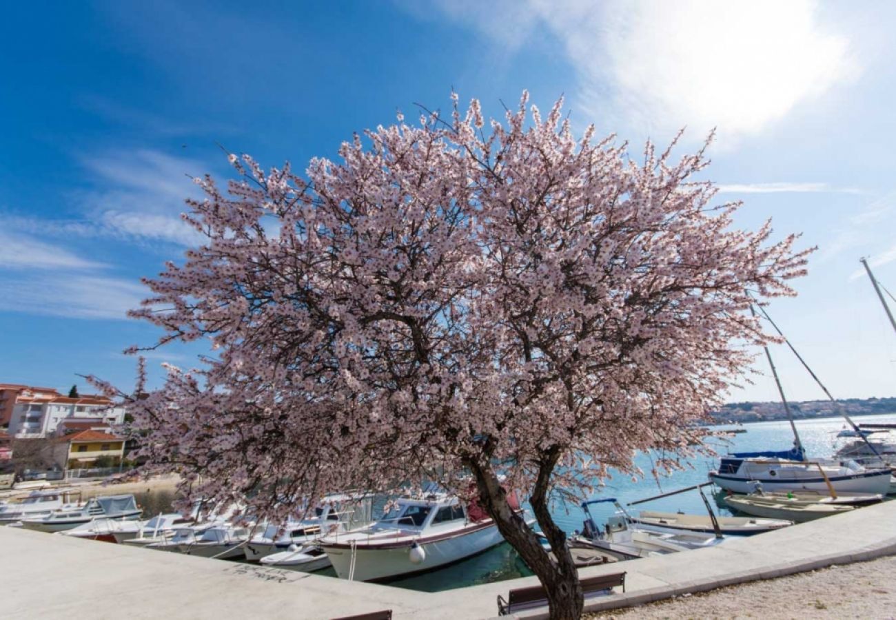 Appartement à Okrug Gornji - Appartement dans Okrug Gornji avec vue mer, Balcon, Climatisation, WIFI (4882-2)