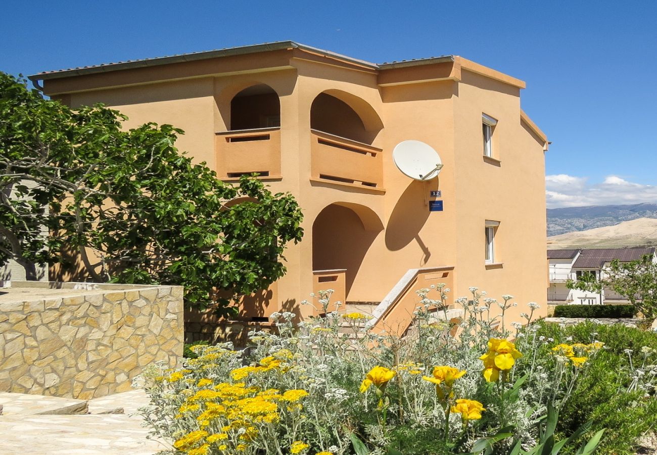 Appartement à Pag - Appartement dans Pag avec vue mer, terrasse, Climatisation, WIFI (4891-2)