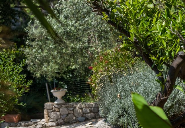 Appartement à Mali Lošinj - Appartement dans Mali Lošinj avec vue mer, Balcon, Climatisation, WIFI (4896-3) Appartement à Mali Lošinj - Appartement dans Mali Lošinj avec vue mer, Balcon, Climatisation, WIFI (4896-3)