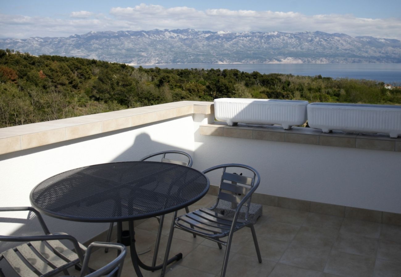 Appartement à Lopar - Appartement dans Lopar avec vue mer, Balcon, Climatisation, WIFI (4855-2)