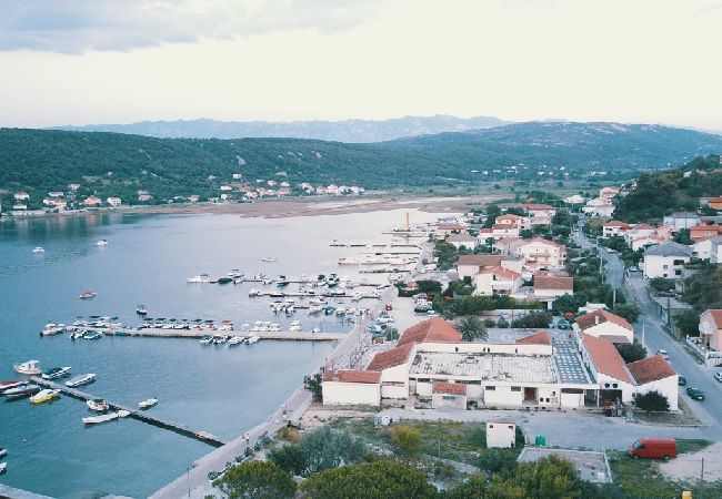 Appartement à Supetarska Draga - Appartement dans Supetarska Draga avec vue mer, terrasse, Climatisation, WIFI (4894-2) Appartement à Supetarska Draga - Appartement dans Supetarska Draga avec vue mer, terrasse, Climatisation, WIFI (4894-2)